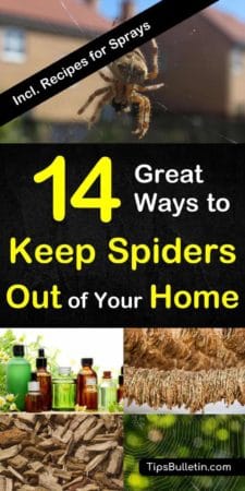 14 Great ways to keep spiders out of your home naturally - with recipes for homemade peppermint and vinegar repellant sprays. Quick and natural DIY ways to get rid of spiders at home, garage, basement, porch or yard. #spiders #repel #spider #repellant