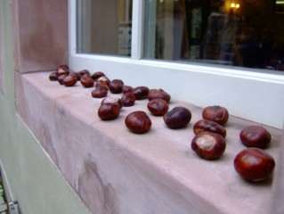 chestnuts