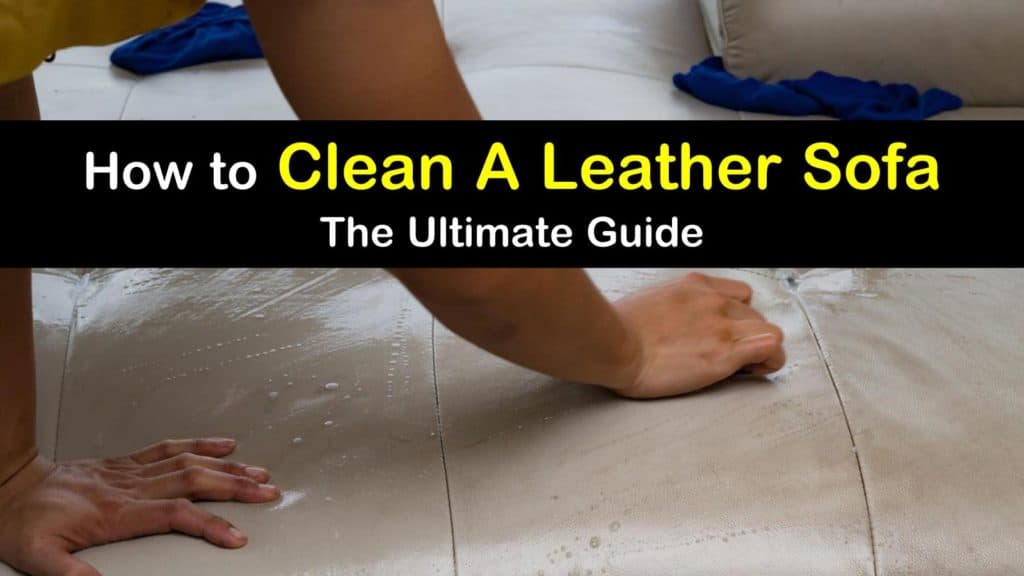 8+ Powerful Yet Gentle Ways to Clean a Leather Sofa