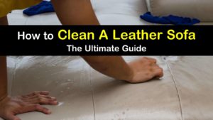 how to clean a leather sofa titleimg1