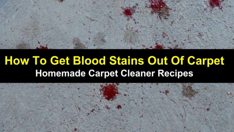 How to Get Blood Stains Out of Carpet Homemade Carpet
