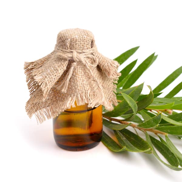 tea tree oil
