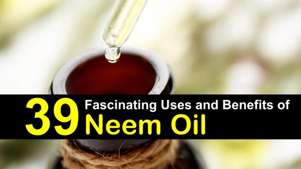 uses and benefits of neem oil main img