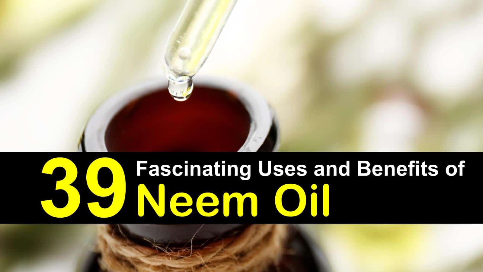Neem Oil Benefits | ecogreenlove Neem Oil Benefits | ecogreenlove