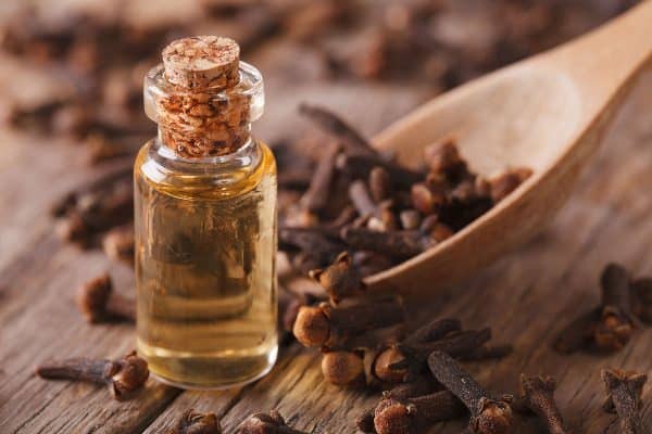 Clove oil is one of many fantastic essential oils for sore throats, but you'll want to dilute it vs. using it at full strength.