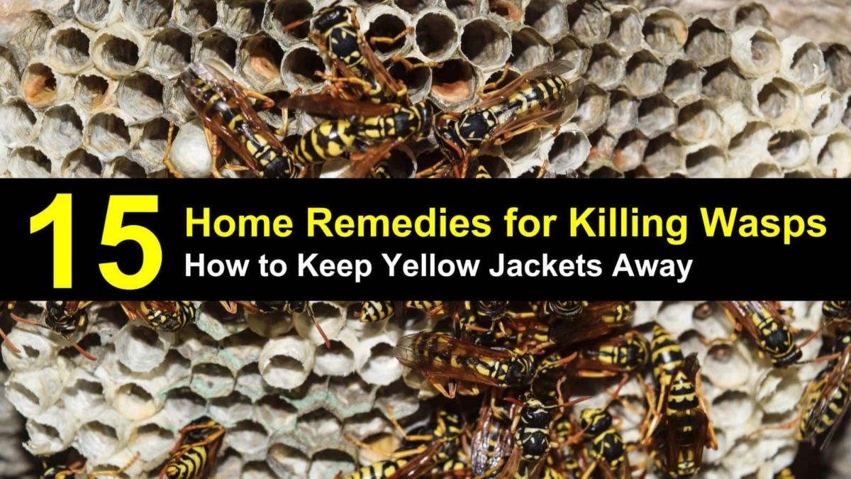 How to Keep Yellow Jackets Away from Your Home 15 Home Remedies for