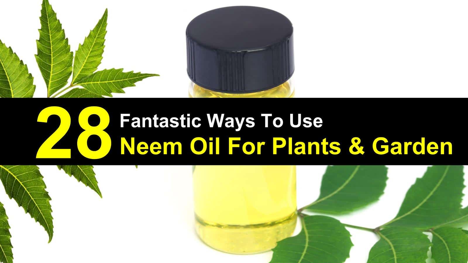 neem oil for plants titleimg