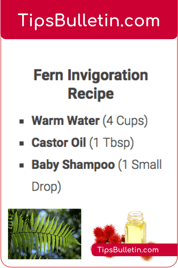 Natural Castor Oil Benefits Natural Castor Oil Benefits