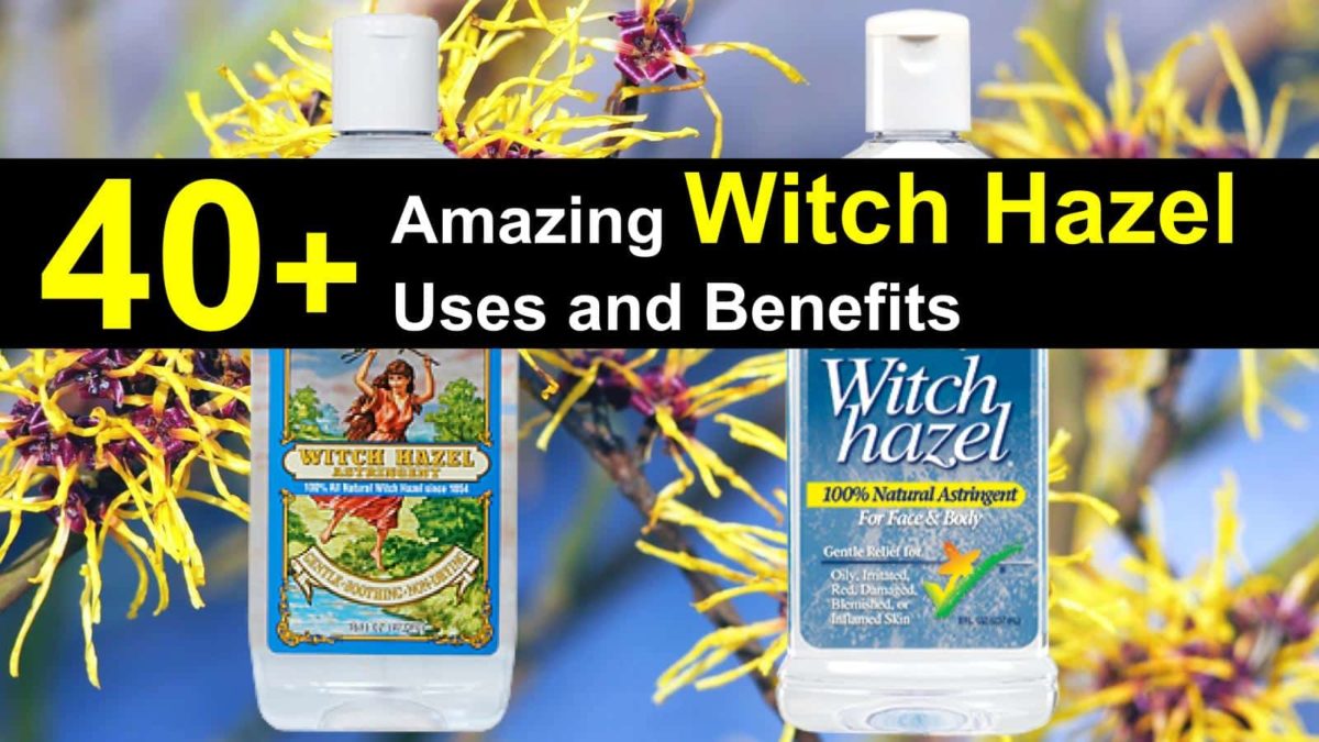 40 Amazing Witch Hazel Uses and Benefits