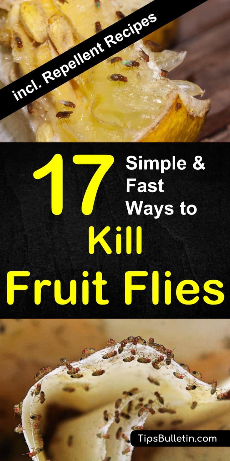 Discover how to get rid of fruit flies and gnats with 17 simple, natural ways. From fruit fly traps with apple cider vinegar, essential oils, or plastic wrap, to long-term pest control with plants and herbs that repel fruit flies. #getridof #fruitflies #pestcontrol #kitchen #food