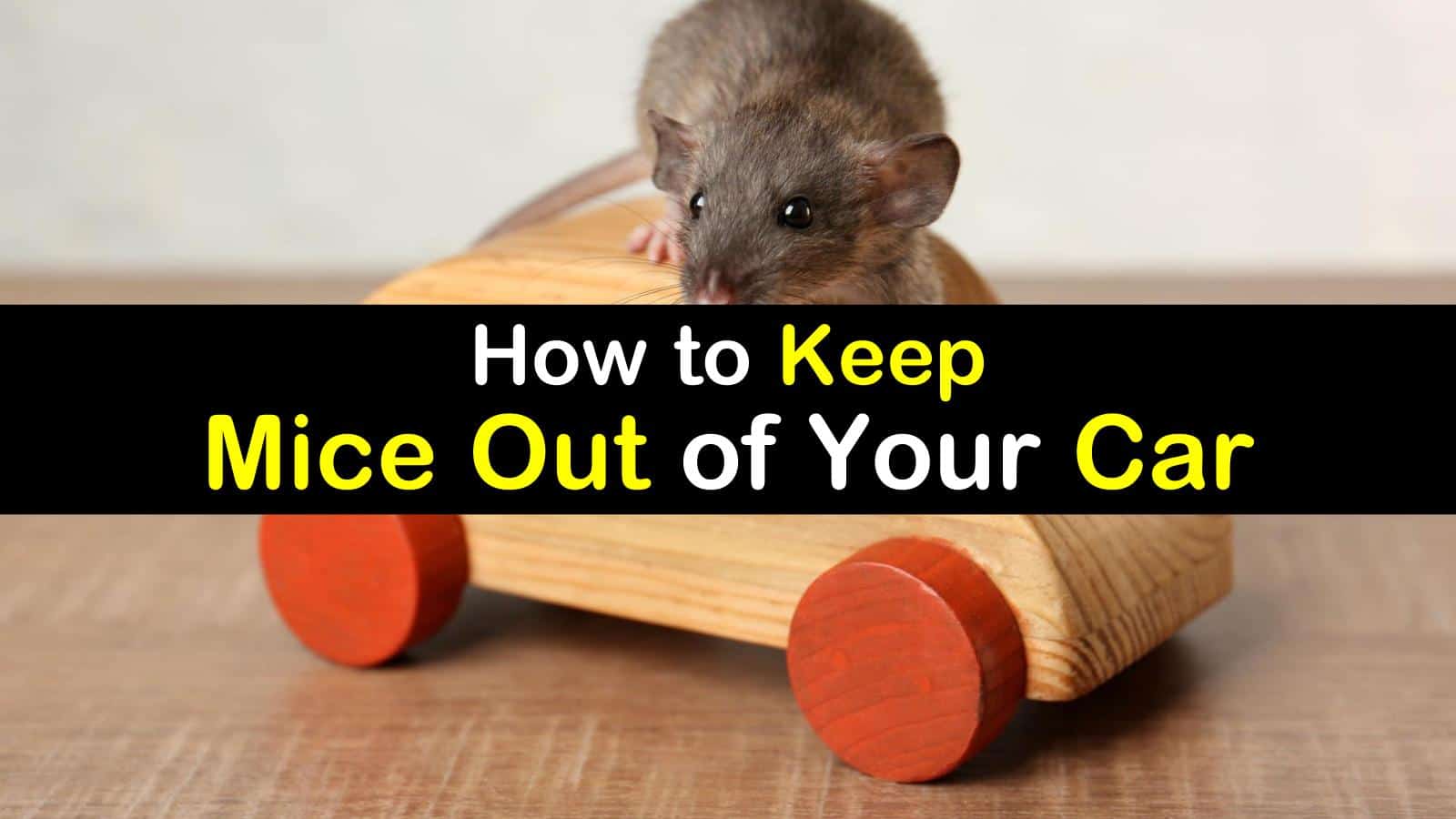 How To Keep Mice Out Of Your Car titleimg1
