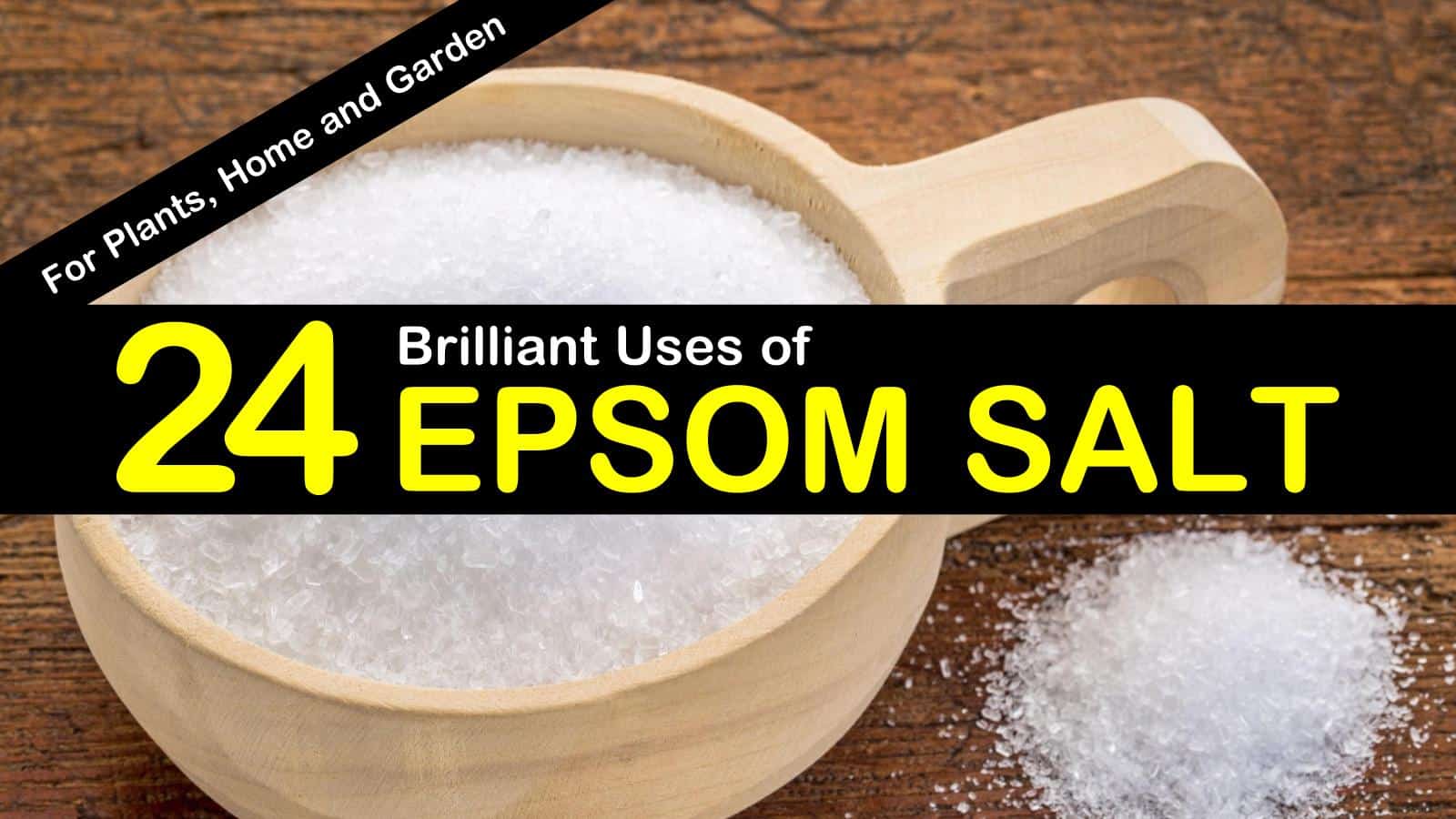 using epsom salt for plants home and garden