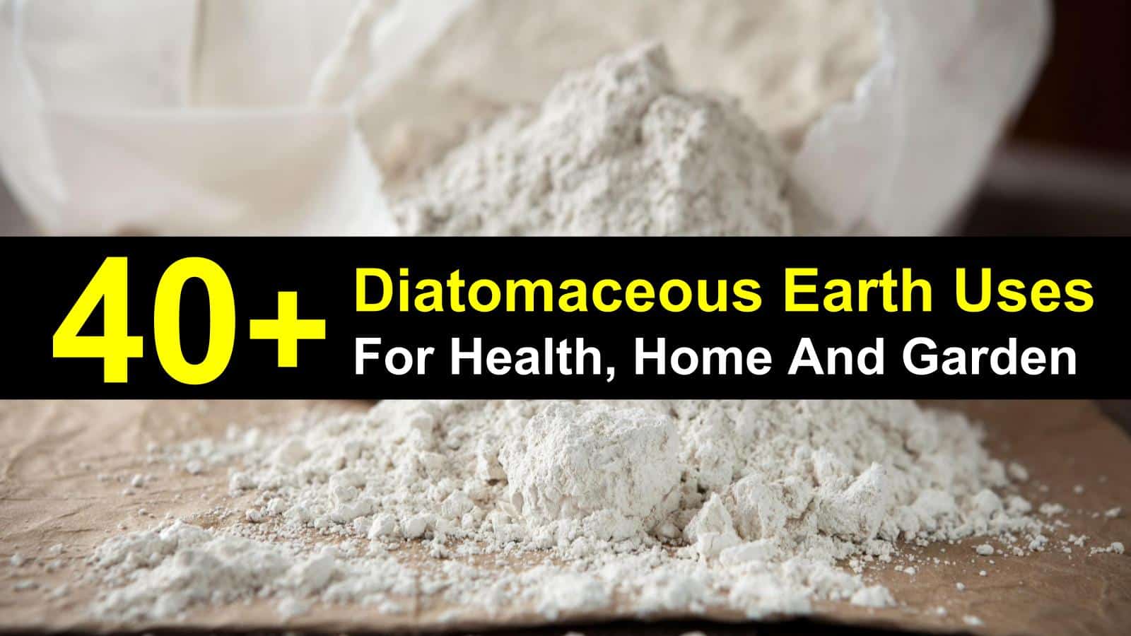 diatomaceous earth uses for health home and garden titlimg