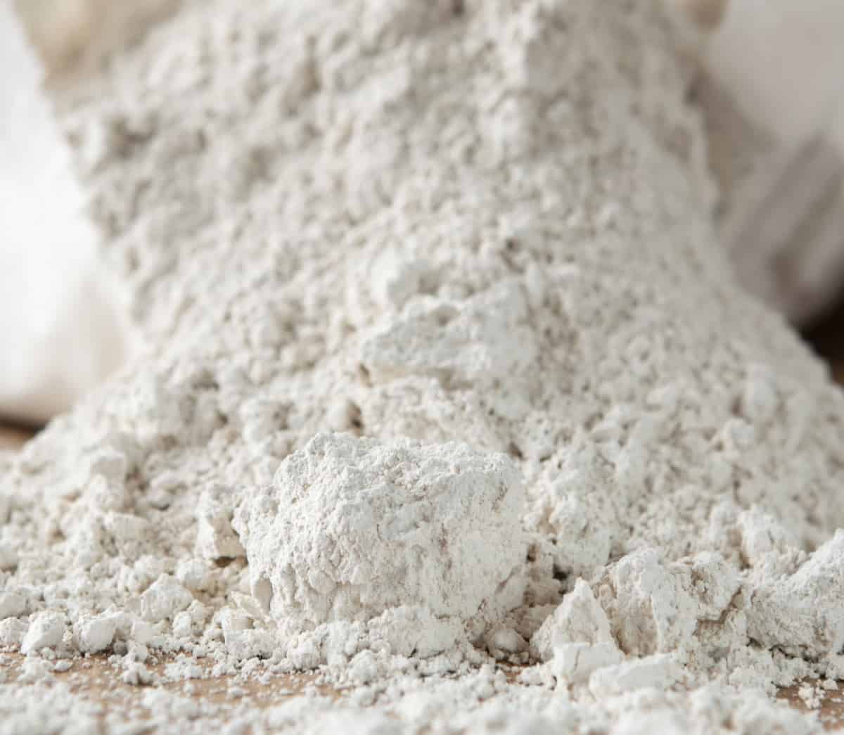 food grade diatomaceous earth