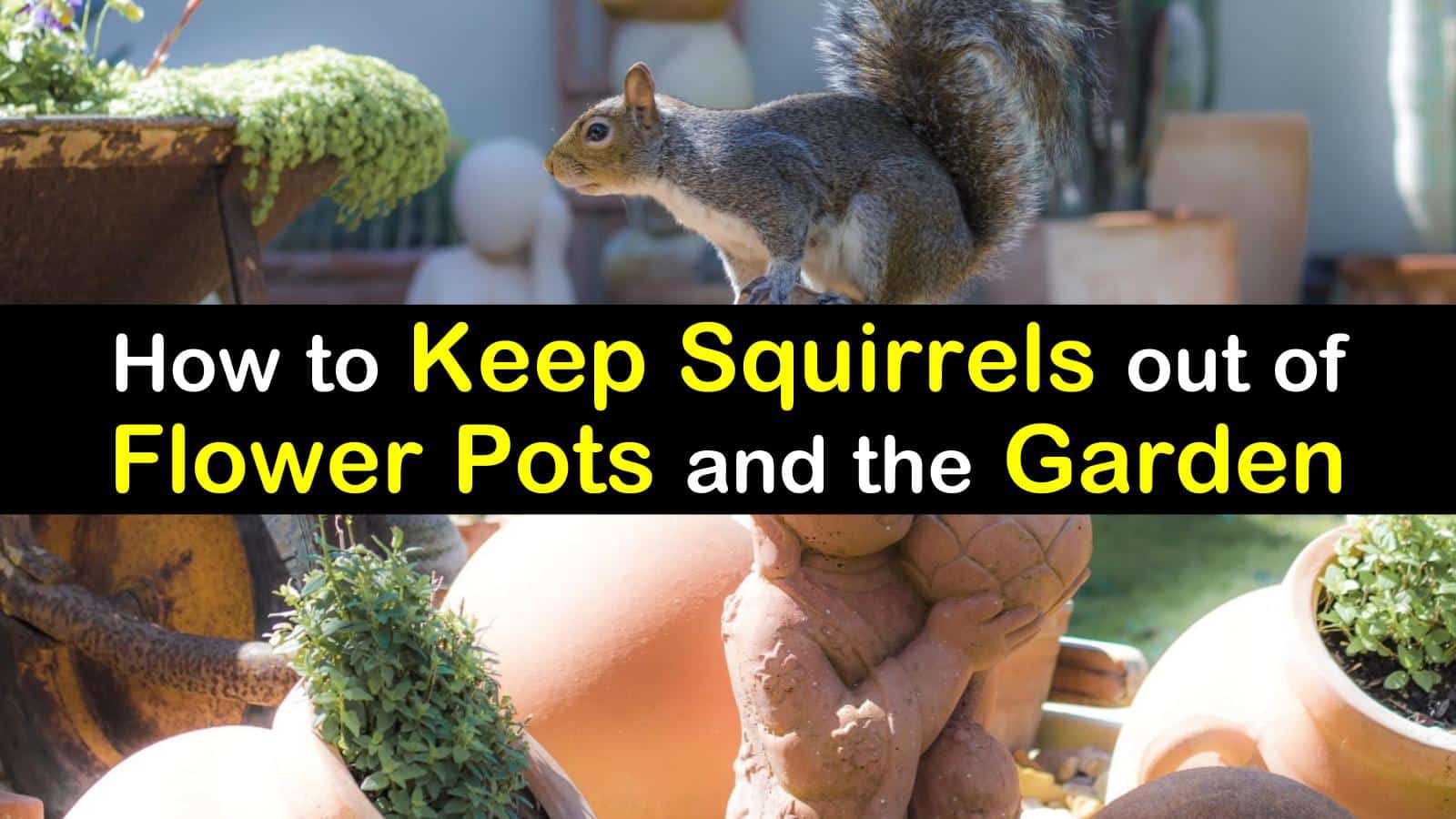 10 Smart Ways To Keep Squirrels Out Of Flower Pots The Garden