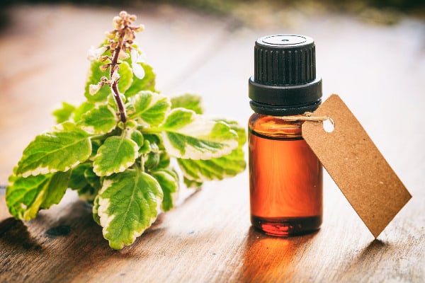 Tea tree oil is one way of how to heal canker sores fast.