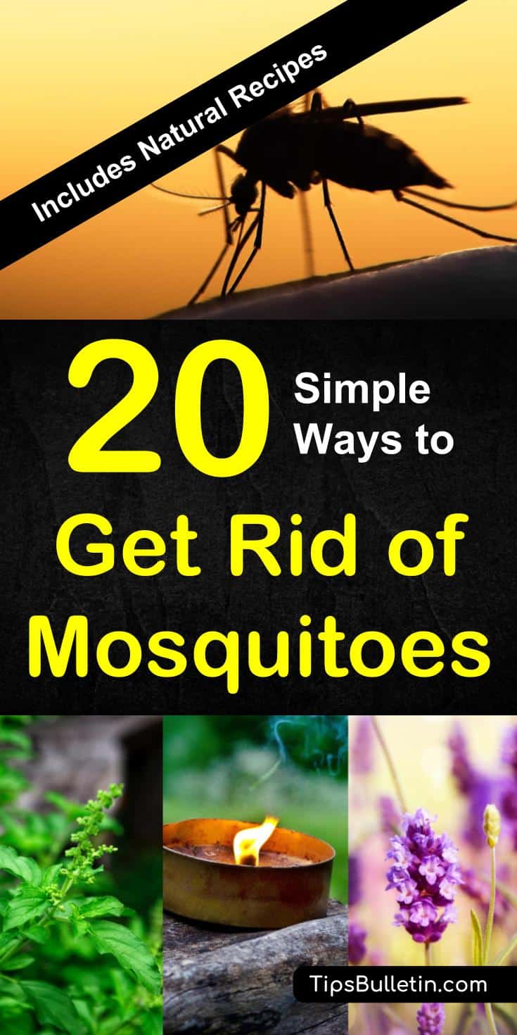 How to keep mosquitoes away with 20 easy ways. Includes natural recipes and tips for homemade mosquito repellents, essential oils, traps, nets, and plants. Perfect to get rid of mosquitoes from yards, decks, garden campfires or inside your house. #mosquitoes #keepaway #getridof #backyard