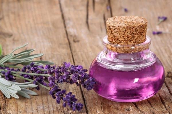 How does lavender help you sleep? It relieves stress and tension, allowing you to drift off.