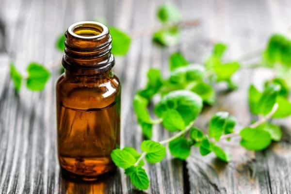 peppermint oil benefits img