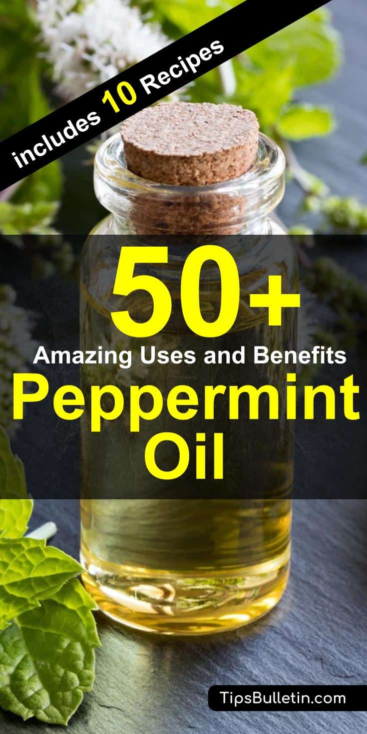 50 Amazing peppermint oil uses and benefits. From how to make to uses of peppermint oil for skin, hair as well as repellent for mice, bugs and spiders. Includes 10 DIY peppermint oil recipes.