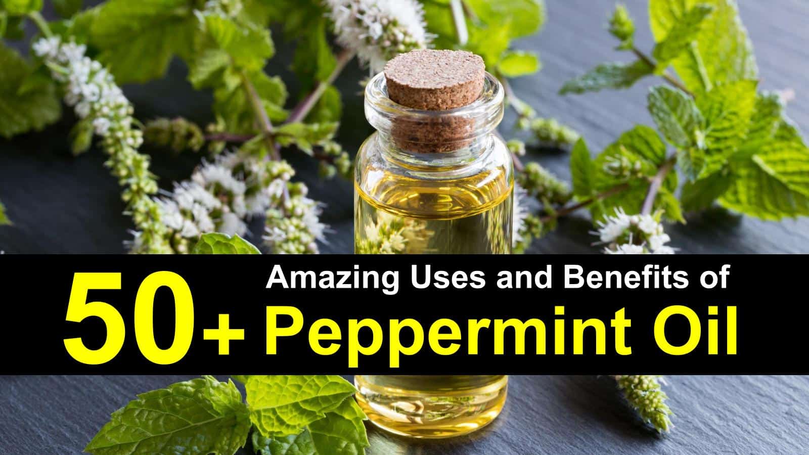 peppermint oil uses titleimage