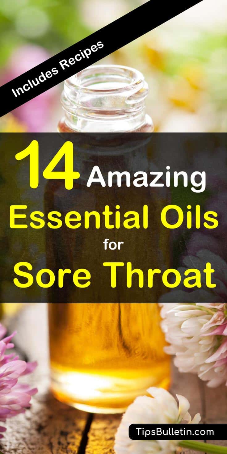 14 amazing essential oils for sore throat - including recipes. With easy to make recipes for an essential oil rub, tea, cough syrup recipe and a basic gargle recipe.