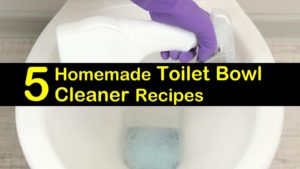 homemade toilet bowl cleaner titlimg
