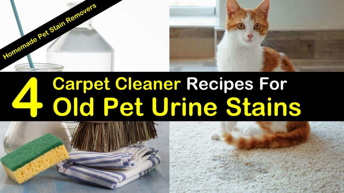 puppy pee cleaner