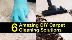 DIY carpet cleaning solution titimg