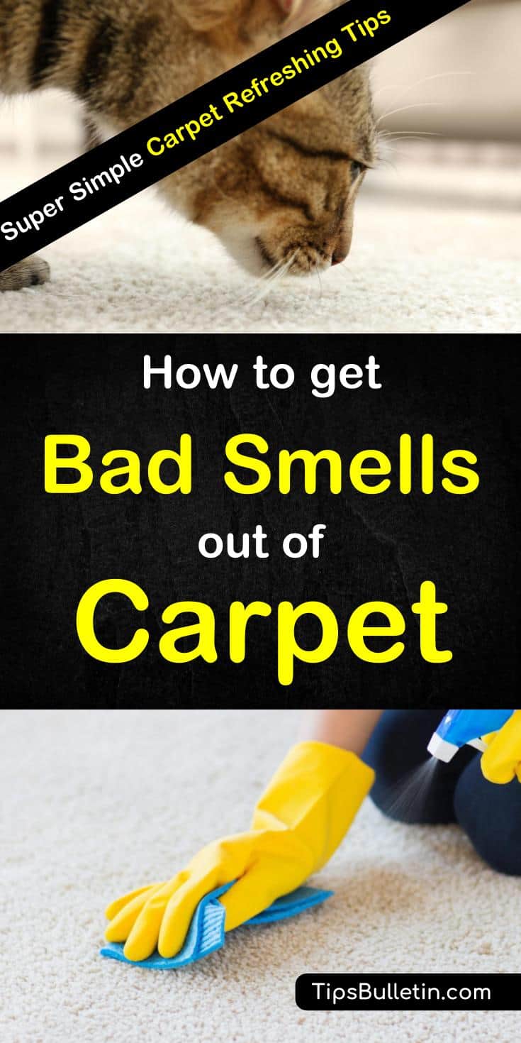 Hands-on tips for how to get bad smells and odors out of the carpet. Learn how to remove offensive smells like dog urine and pet odors using simple ingredients you can find in your pantry like white vinegar and baking soda. Get your carpets smelling great again. #carpetrefreshers #carpetcleaning