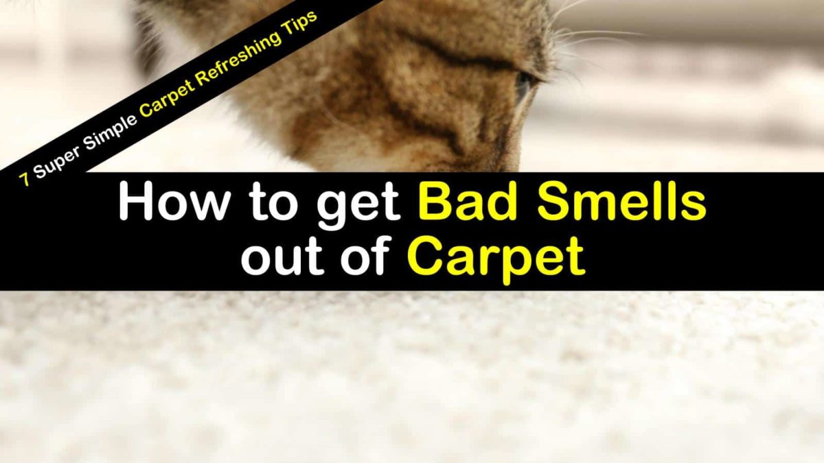 How to Get Bad Smells and Odors Out of Carpet 7 Carpet Refreshing Tips