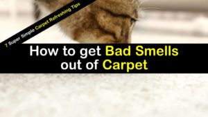 how to get bad smells out of carpet titlimg