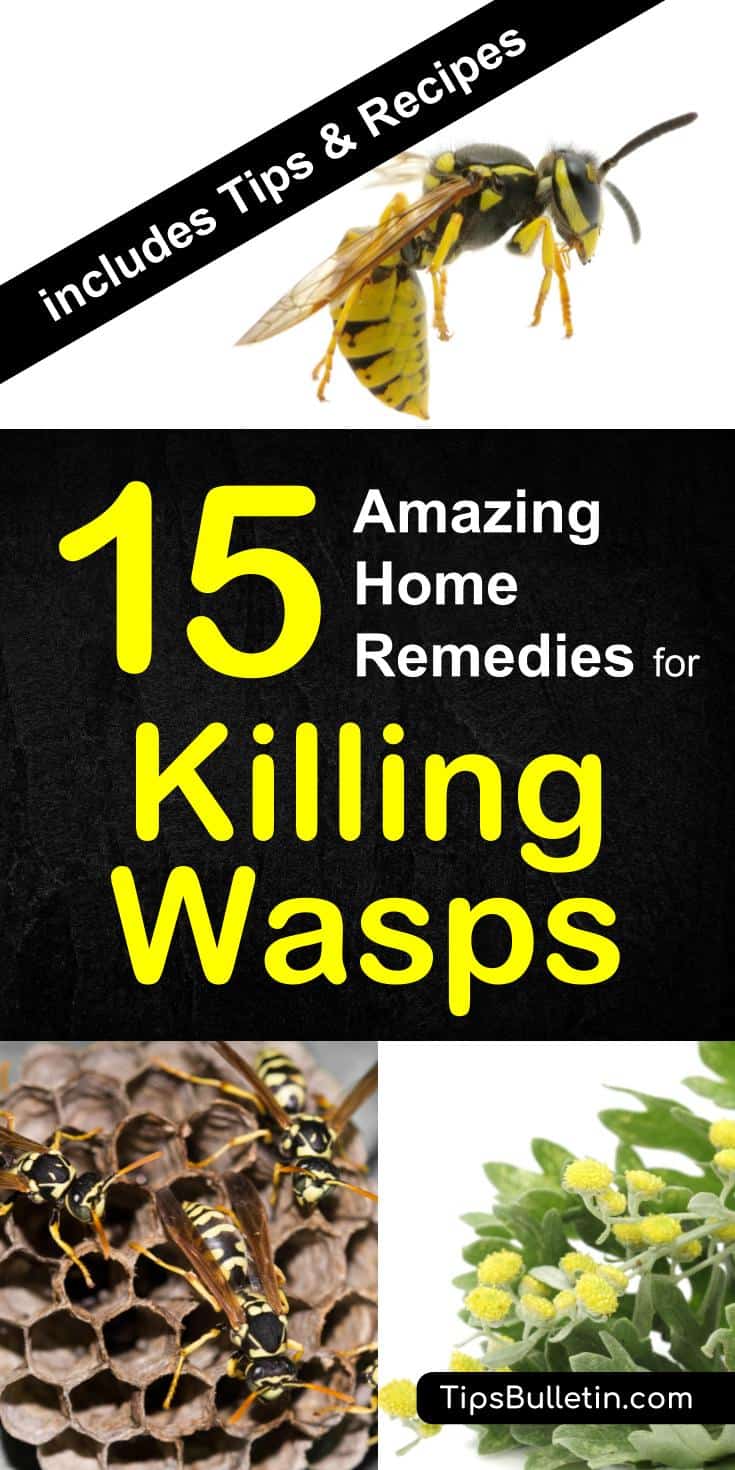 15 home remedies for killing wasps - with detailed tips on how to keep yellow jackets away from your home and repel wasps from nests using a natural remedies and plants. The perfect way to get rid of them using spray, paper bags or other diy methods. #wasps #howtogetrid #pestcontrol #yellowjackets