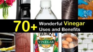 vinegar uses titlimg1
