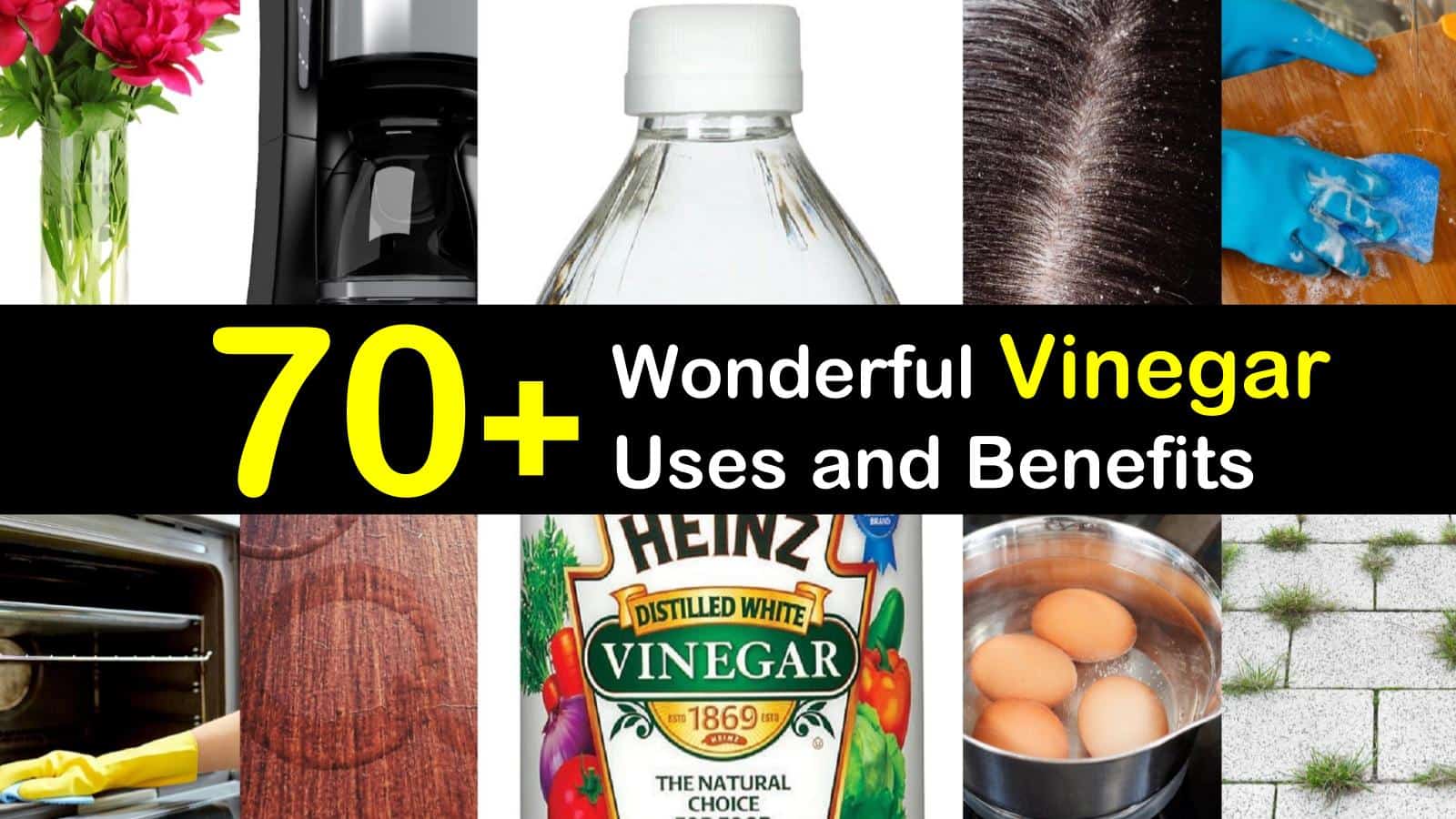 70+ wonderful uses of white vinegar