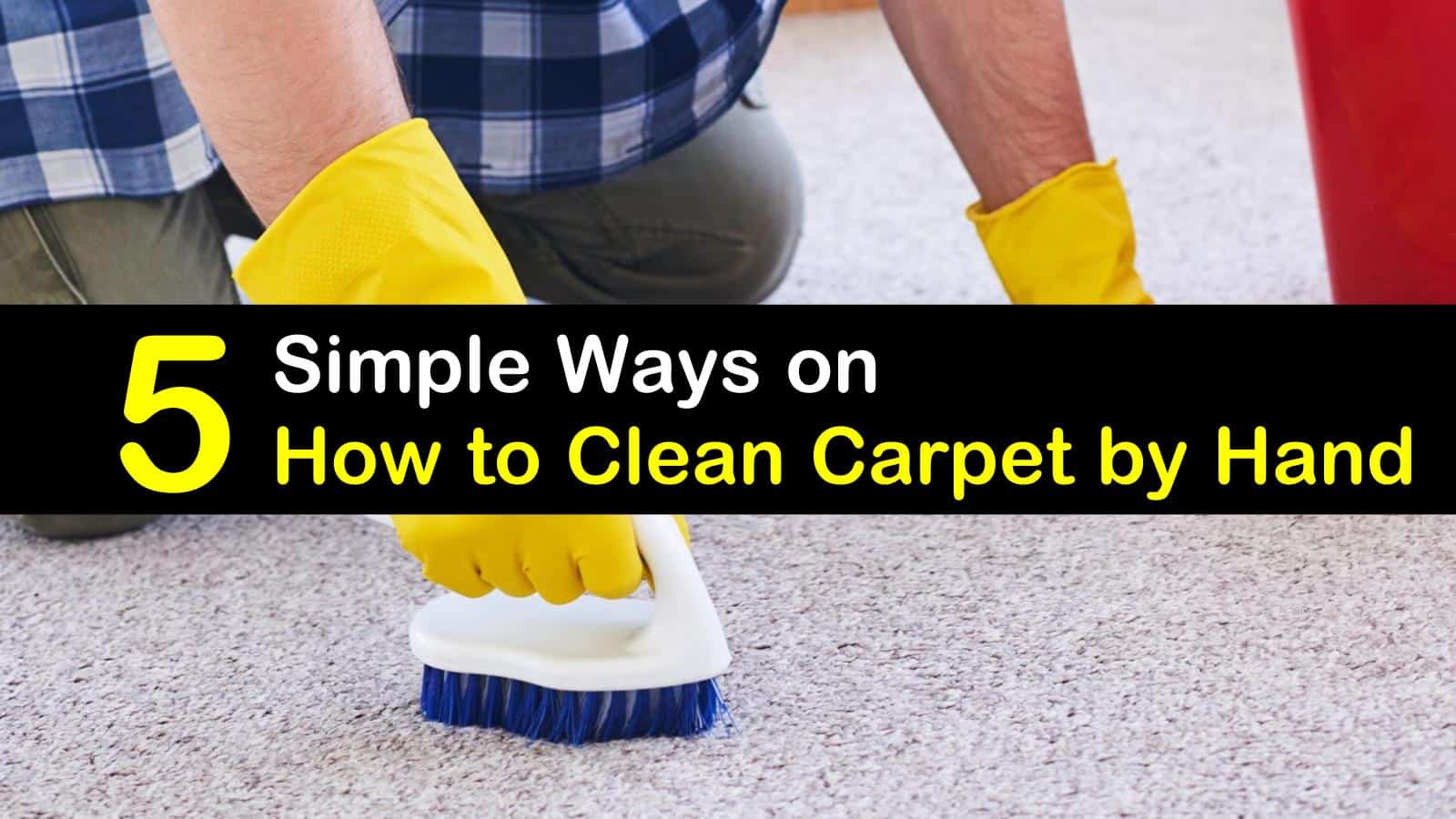 Bissell Carpet Cleaner