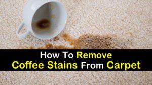 how to remove coffee stains from carpet titlimg
