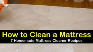 how to clean a mattress titlimg1