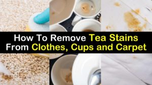 how to remove tea stains from clothes cups carpet upholstery titleimg1