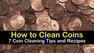 titleimg1 how to clean coins