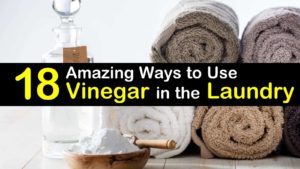 use vinegar for laundry titleimg1