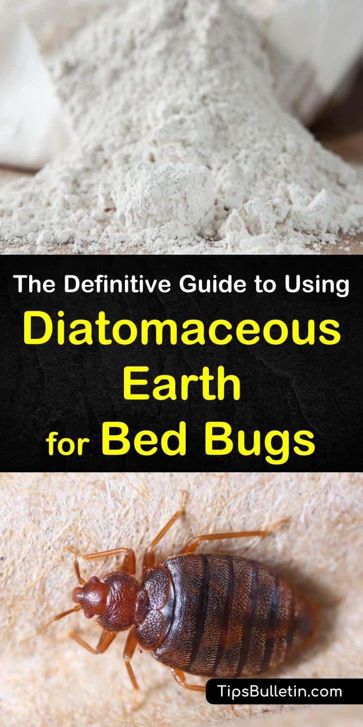 Has your home been invaded by bed bugs? Learn how to stop them in their tracks and eradicate them for good using diatomaceous earth for bed bugs. #bedbugs #de #diatomaceousearth