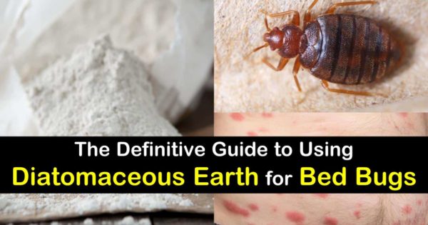 diatomaceous earth for bed bugs t1 600x315 cropped