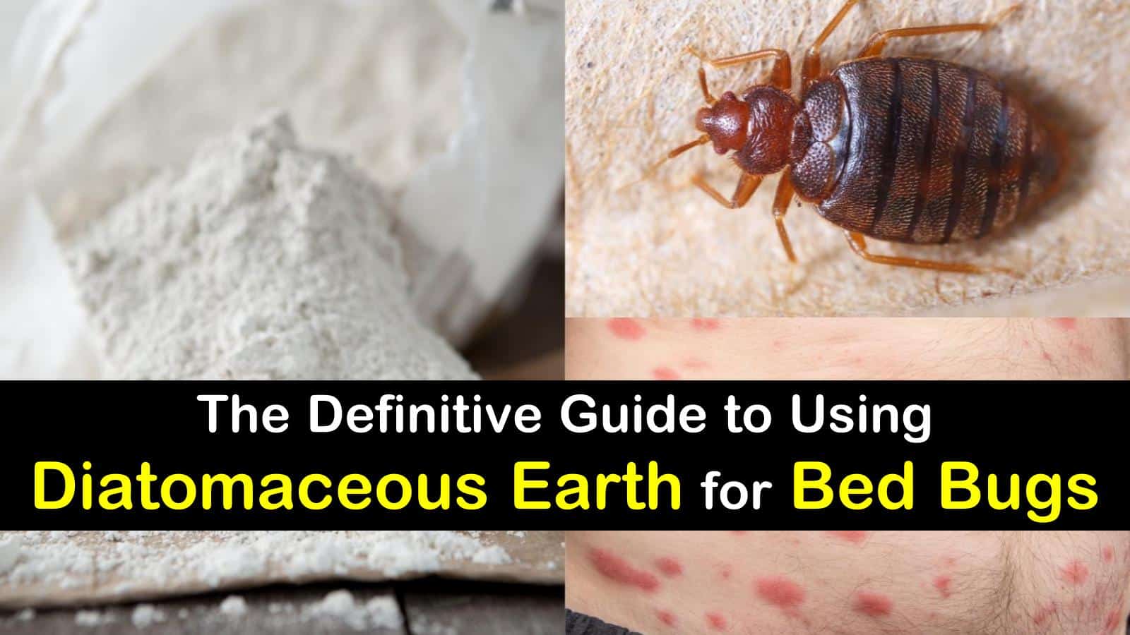 diatomaceous earth for bed bugs t1