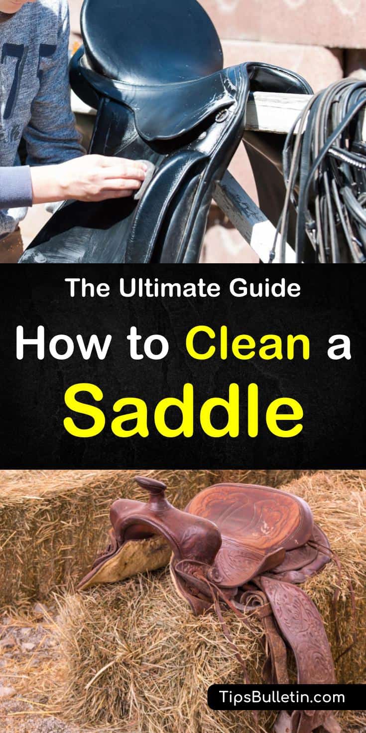 Find out how to clean a saddle with these awesome DIY tips. Learn about the best products to use on your leather saddle and how to clean all your horse tack and pad. Don't allow your horses tack to become damaged with these simple techniques for cleaning a saddle. #cleansaddle #cleanleathersaddle