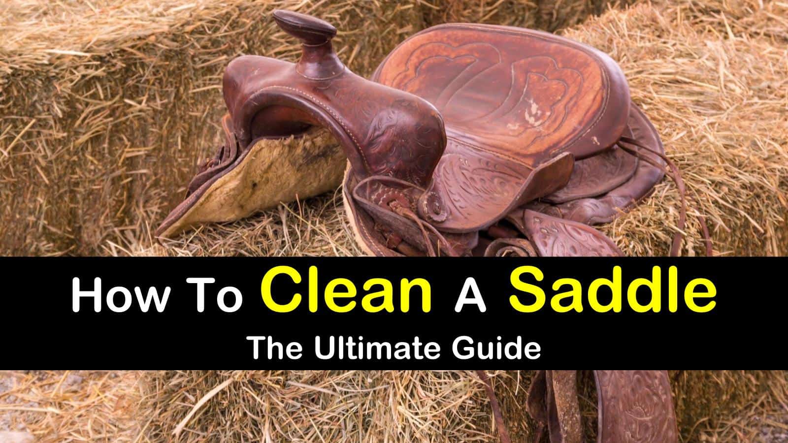 How To Clean A Saddle titleimg1