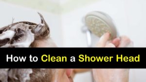 How To Clean A Shower Head titleimg1