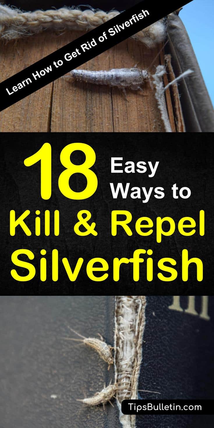 Discover how to get rid of silverfish with easy pest control remedies using natural ingredients. Kill and repel these wingless insects with naturally occurring products like diatomaceous earth, baking soda, and essential oils. #killsilverfishnaturally #silverfishrepellent #getridofsilverfish