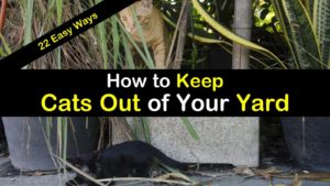 How to Keep Cats Out of Your Yard titleimg1