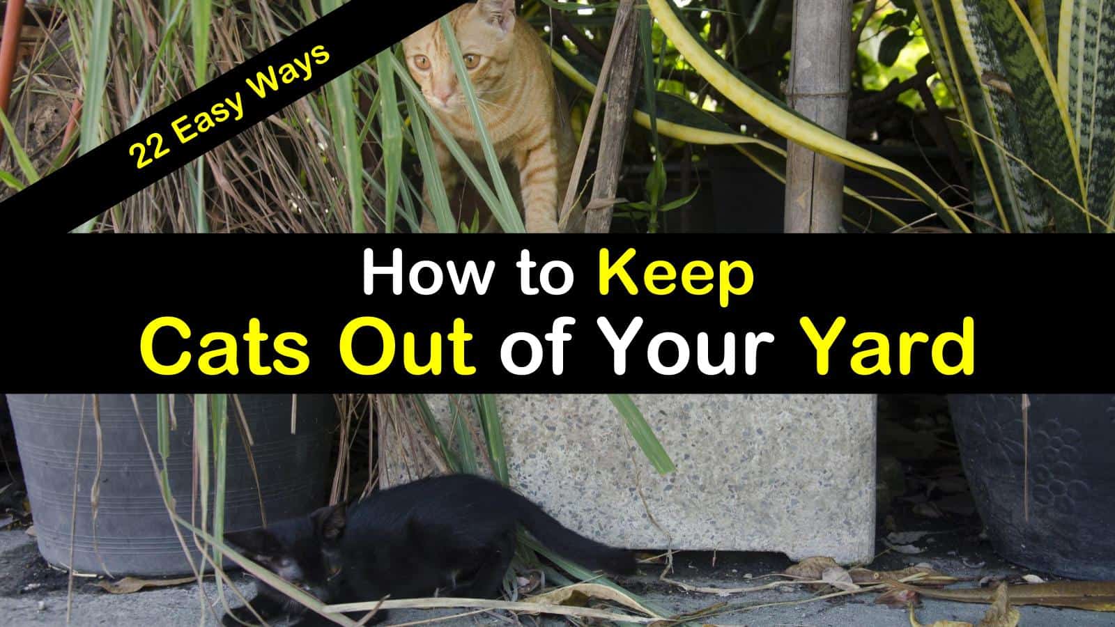 How To Keep Cats Out Of Your Yard 22 Easy Ways